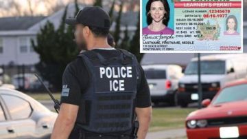 En algunos estados, DMV colabora con ICE para deportar indocumentados.
