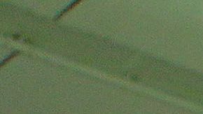 Matías Almeyda está a un paso de llegar a Rayados