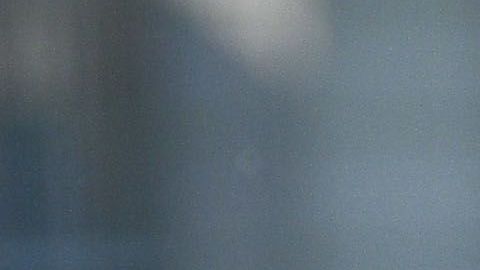 Dos Santos dijo que Vela tiene el nivel necesario para jugar en el Barcelona con Lionel Messi.