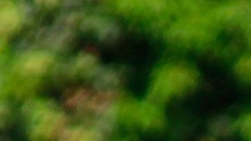 JJ Macías podría irse pronto a Europa, pero el DT de México le aconseja que se consolide primero.