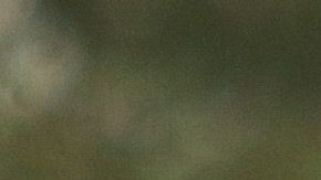 El joven participó en el juego ante Puebla en la Sub-17.