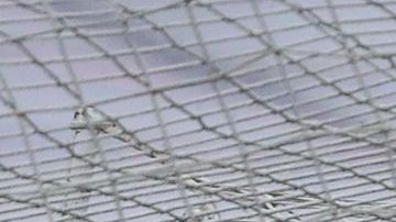 Cruz Azul nunca le había marcado cinco goles a América.