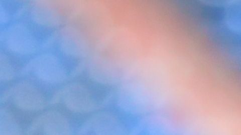 Antonio Mohamed aconseja a Pizarro que después de triunfar con Rayados se vaya a Europa, no a Chivas.