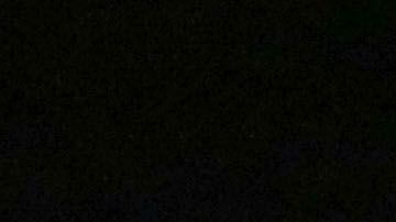 Los escualos sumaron una derrota más en la Liga MX en medio del escándalo de adeudos.