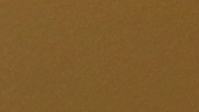 El nuevo líder de la minoría demócrata del Senado, Charles Schumer, prometió luchar por los "DREAMers" y contra el muro fronterizo.  Foto: María Peña/Impremedia