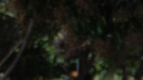 Hugo Barrueta,deportado hace tres años, tiene que sobrevivir en las calles de la CDMX.