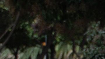 Hugo Barrueta,deportado hace tres años, tiene que sobrevivir en las calles de la CDMX.