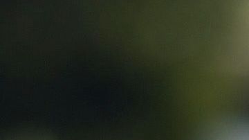 Aseguran que hubo pacto entre Bonilla y el exgobernador.