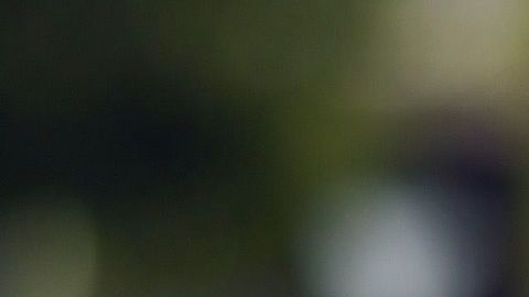 Aseguran que hubo pacto entre Bonilla y el exgobernador.