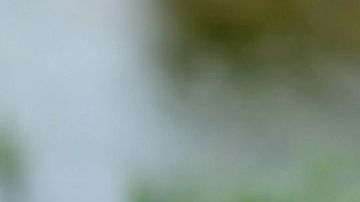 La app busca darle el tiempo suficiente a las personas para que se preparen al momento del terremoto.