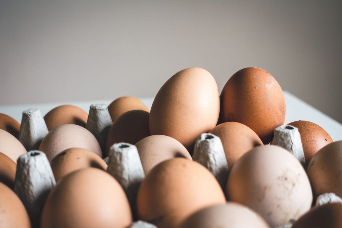 Uno de los principales factores para conservar la frescura en los huevos, es evitar los cambios extremos de temperatura.