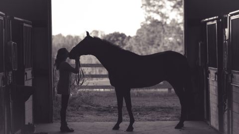 caballo