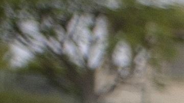 El Hyundai Nexo es uno de los pocos tres autos de hidrógeno en los Estados Unidos con celdas que se recargan por sí solas