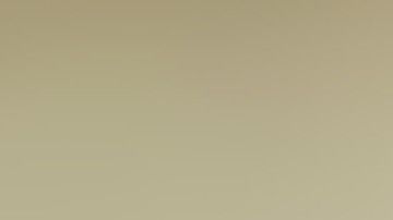 Lauren Summer aseguró que lo volvería a hacer ya que todo se debió a una campaña para concientizar sobre el cáncer de mama.