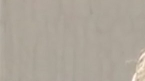 Andrew Levy, el buen samaritano.