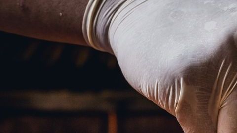 El consumo ocasional de carne de vaca aporta proteínas de alto valor biológico, vitamina B12 y aminoácidos esenciales. Procura seleccionar cortes orgánicos y cuidar las técnicas de cocción.