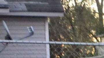 Ignacio Lanuza fue víctima del engaño de un agente de inmigración.