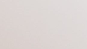 Delegado de Local 79, Luis Montalvo. 
El Awards 2019 - El Diario NY.