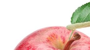 Entre las principales aportaciones de las manzanas se encuentra su alto contenido en fibra, también posee un efecto saciante, es un alimento antioxidante y tiene propiedades diuréticas.