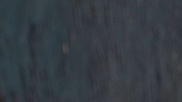 Ensalada tibia de frijoles de soya