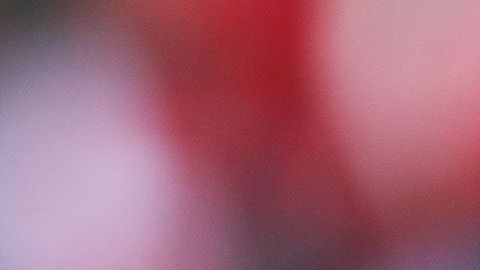 Antonio Mohamed vuelve por sus fueros a la Liga MX.