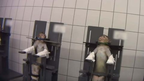 Alrededor del cuello de los monos los operadores del espacio colocan una herramienta giratoria.