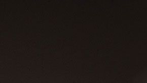 mosquitos-disney-world