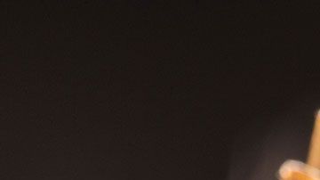 mosquitos-disney-world