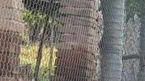 Entre los muertos hay un militar.