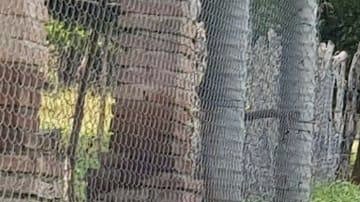 Entre los muertos hay un militar.