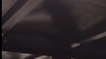 La escena fue inusual en el Subway.