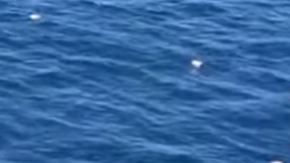Los paquetes de droga quedaron dispersos en el mar.