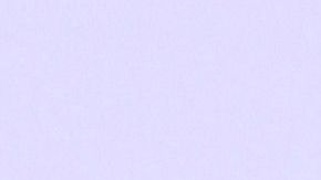 Ninel Conde en los Latin AMAs 2019