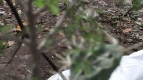 La fosa clandestina estaba cerca del Puente Internacional Anzalduas, en Reynosa (México).