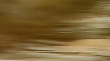 El Rolls-Royce Cullinan combina lujo y comodidad con todo terreno