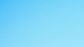 Aunque tengan jardines y jueguen mucho, tienen que salir igual; entre otros consejos que seguro no conocías