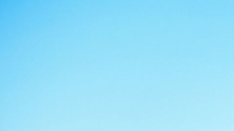 Aunque tengan jardines y jueguen mucho, tienen que salir igual; entre otros consejos que seguro no conocías