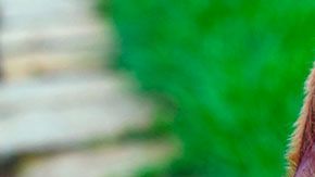 Actualmente, el menor se encuentra estable en el hospital.