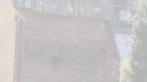 60 Norfolk St., Lower East Side