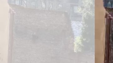 60 Norfolk St., Lower East Side