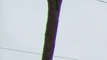 Imagen la Hacienda Nápoles original.