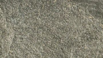 Foto: Agencia Reforma