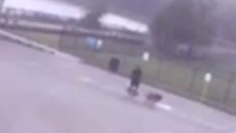 En el video se puede observar a la víctima caminado con sus perros y el momento que el rayo lo impacta por los pies.