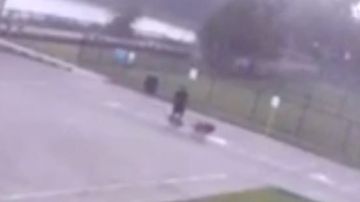 En el video se puede observar a la víctima caminado con sus perros y el momento que el rayo lo impacta por los pies.