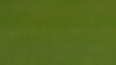 El Real Madrid se entrena, con todo y sus bajas, para el partido en Mallorca.