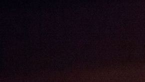 Ramiro Delgado de Bronco.