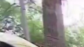 Entre los 12 inmigrante había miembros de la comunidad LGTBQ y personas con discapacidad.