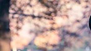 Javier Hernández y Sarah Kohan.