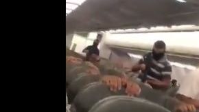 El video ha sido compartido en las redes sociales.