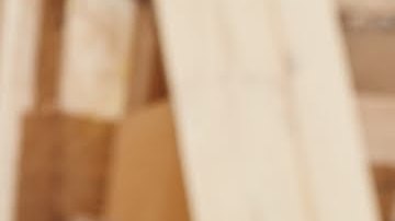 Los mayores será el segmento de población trabajadora que más crezca./Shutterstock